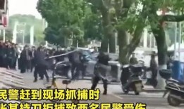 重庆老乡爆料事件视频大全,揭秘真实生活瞬间