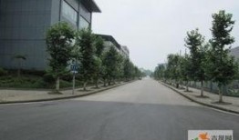 渝北泽科港城最新爆料,揭秘神秘项目背后的惊人真相